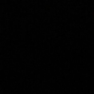 Meet your Posher, Shayla